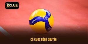 Cá cược bóng chuyền