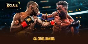Cá cược boxing