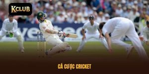 Cá cược Cricket