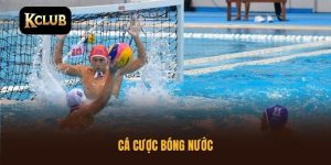 cá cược bóng nước