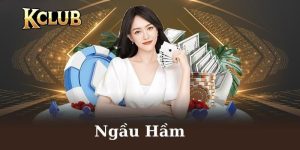 Ngầu hầm